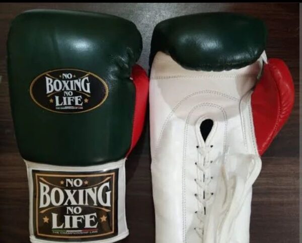 Custom Made No Boxing No Life Boxing Gloves