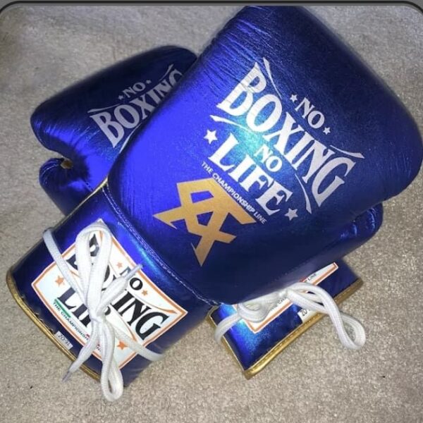 Custom Made No Boxing No Life Boxing Gloves